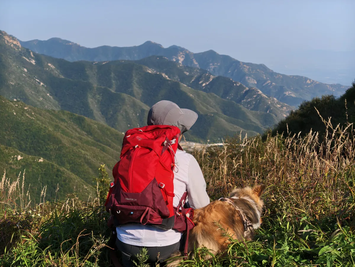 山顶草甸上，人和狗一起望向远处的山脊