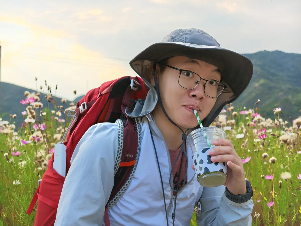 入口旁的一大片花丛